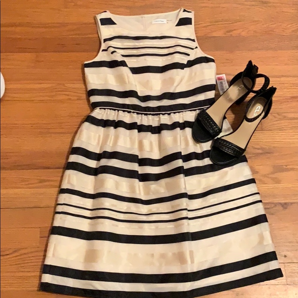 Calvin Klein Dress